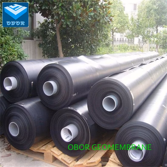 2m Width HDPE Geomembrane Black Polyethylene Film for Construction in South Africa