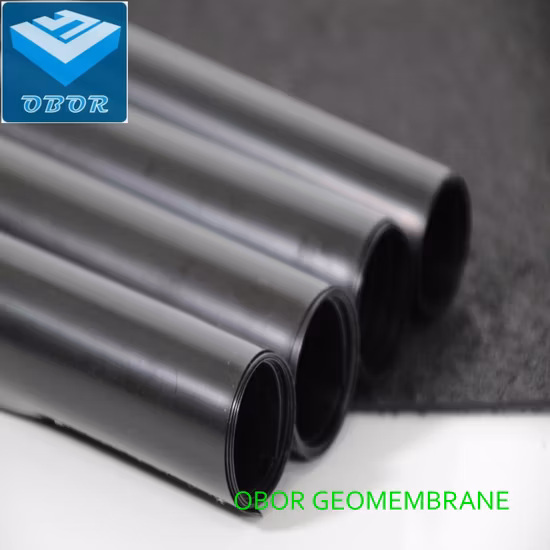 2m Width HDPE Geomembrane Black Polyethylene Film for Construction in South Africa